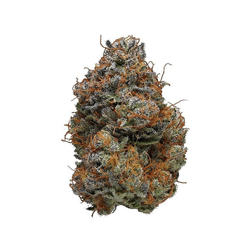 BLACK BERRY KUSH