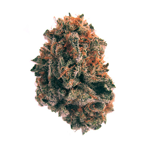 BLUE BERRY SKUNK