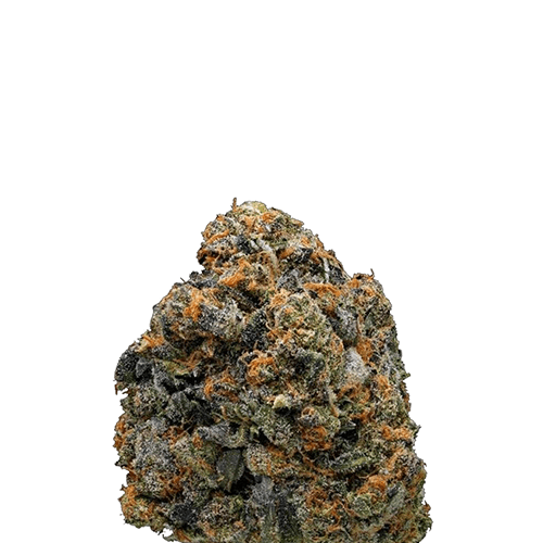 GIRL SCOUT COOKIES