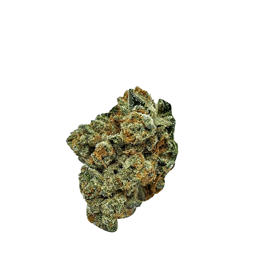 HIGH OCTANE OG KUSH