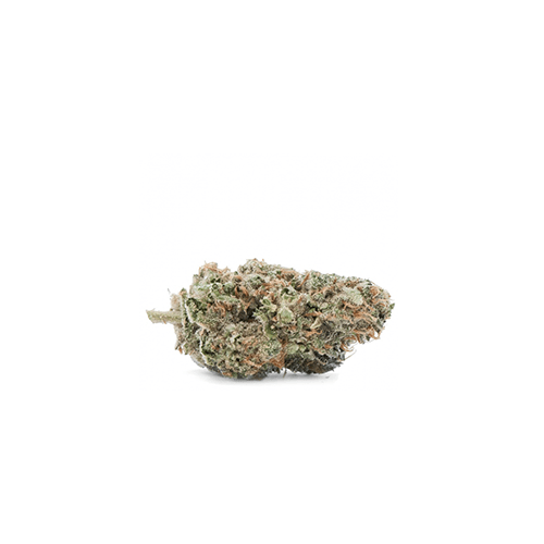 KEY LIME PIE