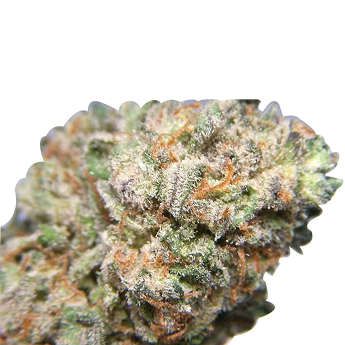 Mango cannabis strain