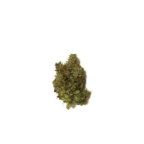 PURPLE OG KUSH