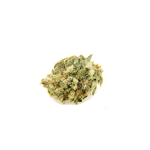 SNOW MONSTER -Indica