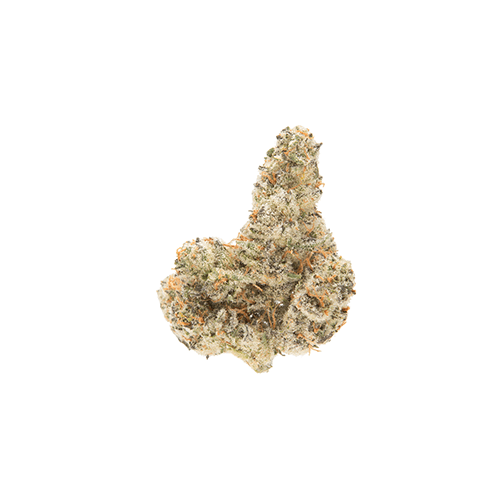 GREASE MONKEY