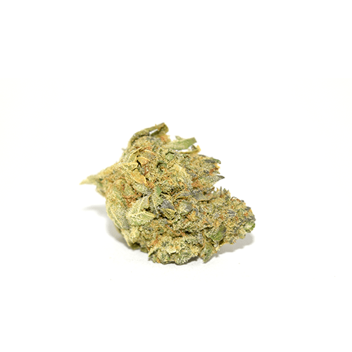 GUCCI OG