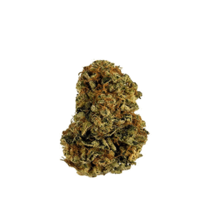NYC Diesel