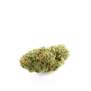 NEW YORK PURPLE SOUR DIESEL