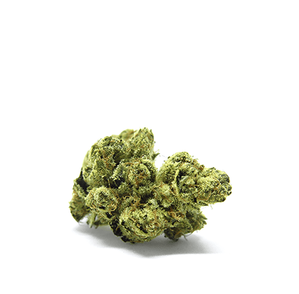 SILVER OG KUSH